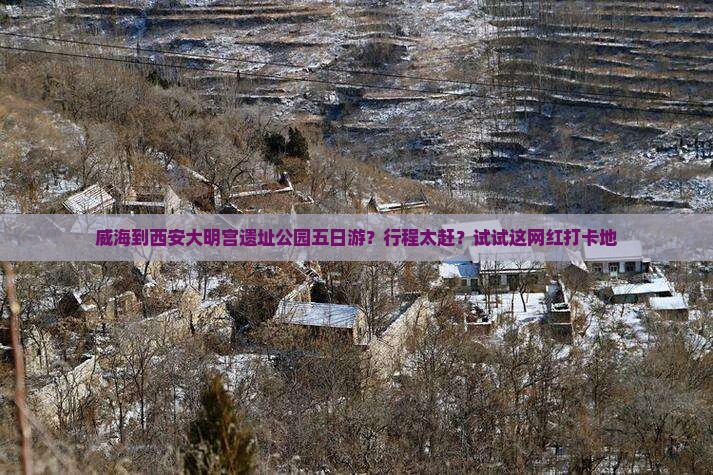 威海到西安大明宫遗址公园五日游？行程太赶？试试这网红打卡地