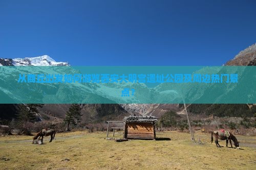 从商丘出发如何游览西安大明宫遗址公园及周边热门景点？