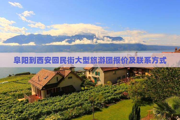 阜阳到西安回民街大型旅游团报价及联系方式
