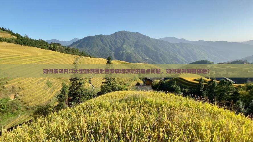 如何解决内江大型旅游团赴西安城墙游玩的痛点问题，如何提升游客体验？
