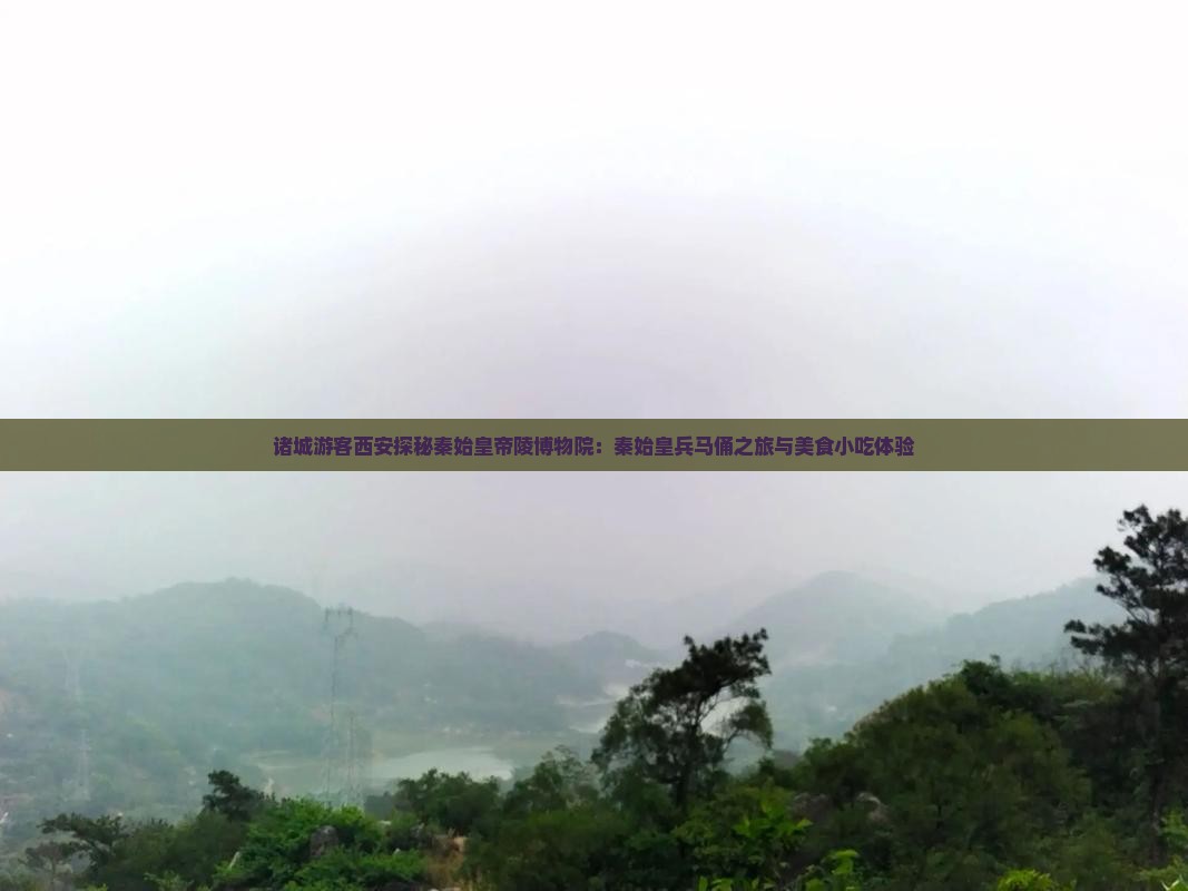 诸城游客西安探秘秦始皇帝陵博物院：秦始皇兵马俑之旅与美食小吃体验