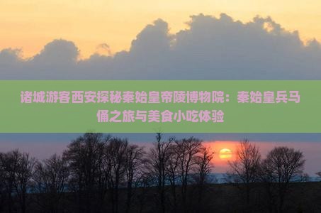 诸城游客西安探秘秦始皇帝陵博物院：秦始皇兵马俑之旅与美食小吃体验