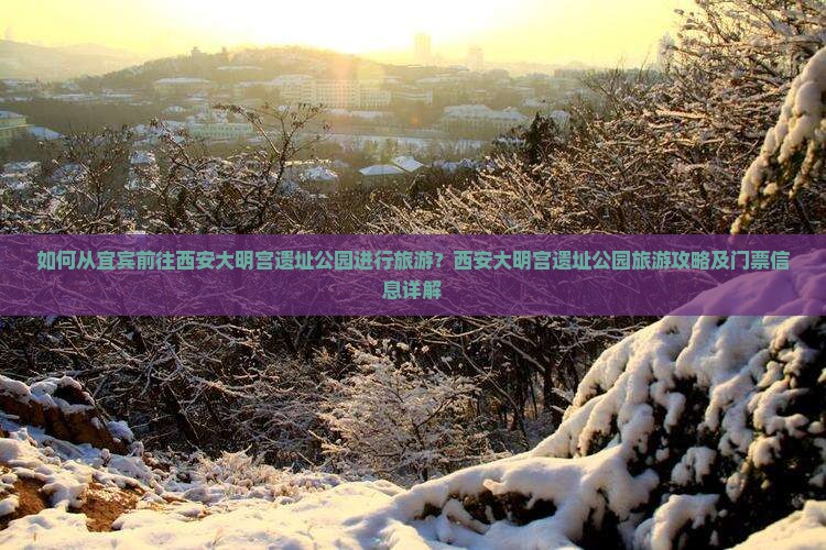 如何从宜宾前往西安大明宫遗址公园进行旅游？西安大明宫遗址公园旅游攻略及门票信息详解