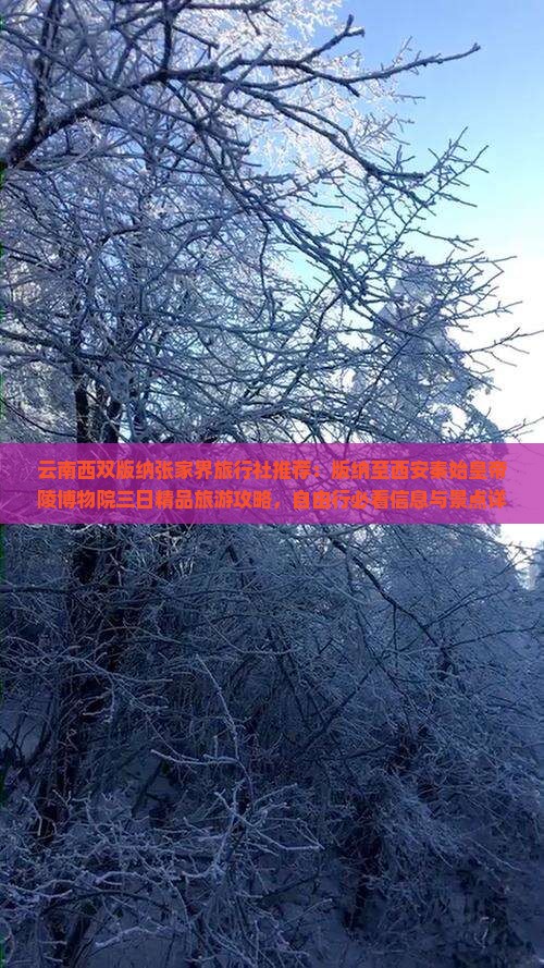 云南西双版纳张家界旅行社推荐：版纳至西安秦始皇帝陵博物院三日精品旅游攻略，自由行必看信息与景点详览