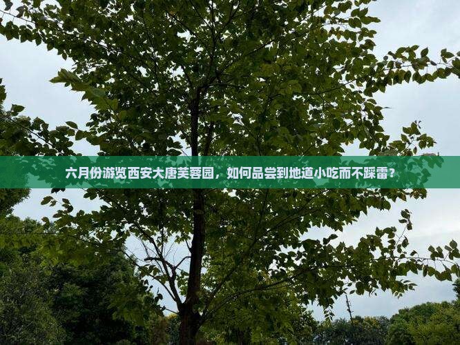 六月份游览西安大唐芙蓉园，如何品尝到地道小吃而不踩雷？