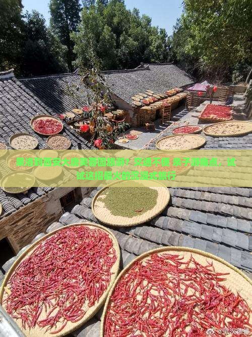 果洛到西安大唐芙蓉园旅游？交通不便+亲子游痛点，试试这招最火的沉浸式旅行