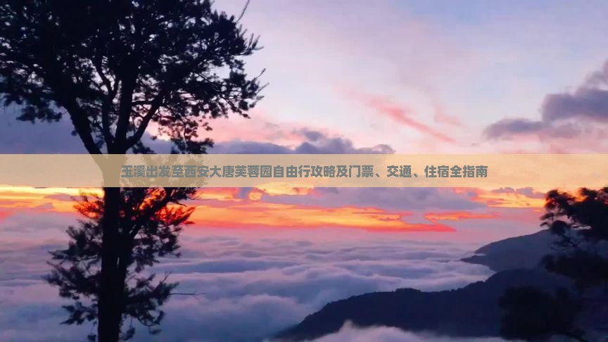 玉溪出发至西安大唐芙蓉园自由行攻略及门票、交通、住宿全指南