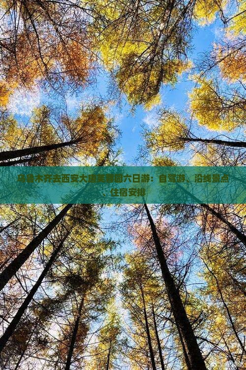 乌鲁木齐去西安大唐芙蓉园六日游：自驾游、沿线景点、住宿安排