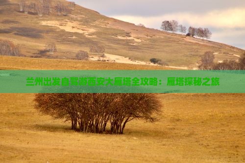 兰州出发自驾游西安大雁塔全攻略：雁塔探秘之旅