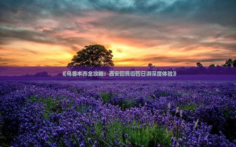 《乌鲁木齐全攻略：西安回民街四日游深度体验》