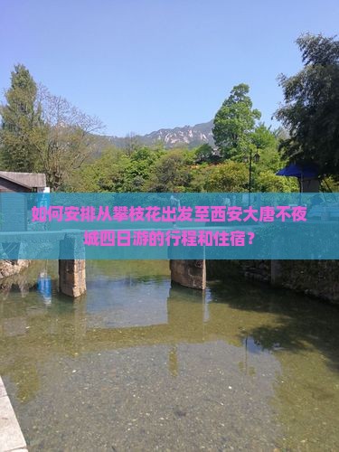 如何安排从攀枝花出发至西安大唐不夜城四日游的行程和住宿？