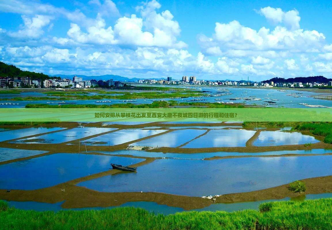 如何安排从攀枝花出发至西安大唐不夜城四日游的行程和住宿？