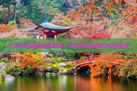 三月西安回民街深度游：旅行社定制旅行攻略指南
