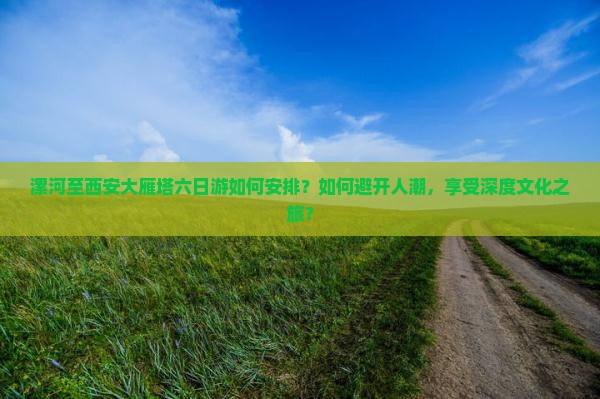 漯河至西安大雁塔六日游如何安排？如何避开人潮，享受深度文化之旅？