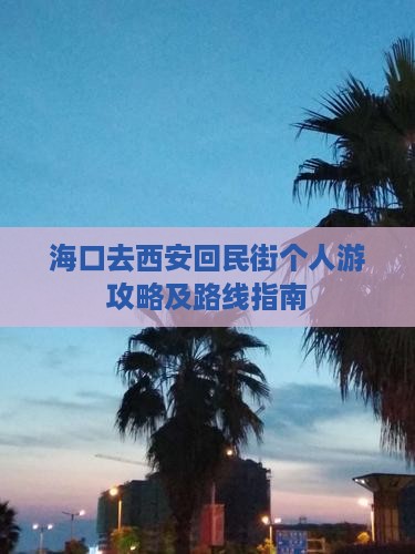 海口去西安回民街个人游攻略及路线指南
