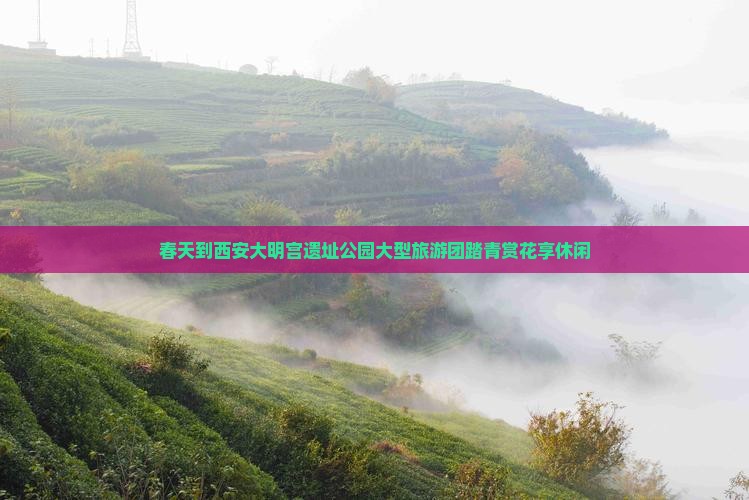 春天到西安大明宫遗址公园大型旅游团踏青赏花享休闲