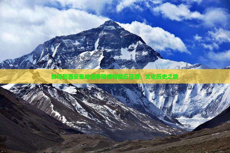 蚌埠到西安秦始皇帝陵博物院五日游：文化历史之旅