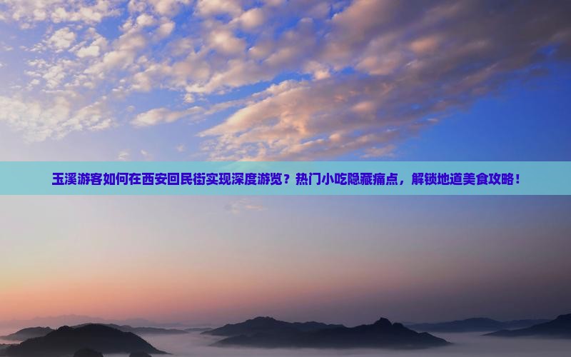玉溪游客如何在西安回民街实现深度游览？热门小吃隐藏痛点，解锁地道美食攻略！