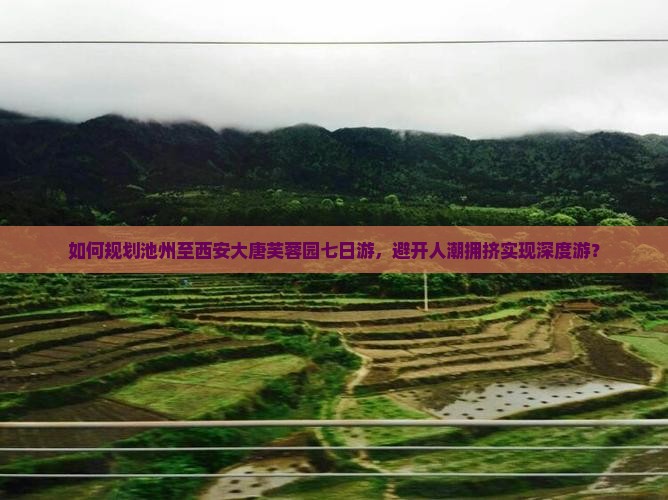 如何规划池州至西安大唐芙蓉园七日游，避开人潮拥挤实现深度游？