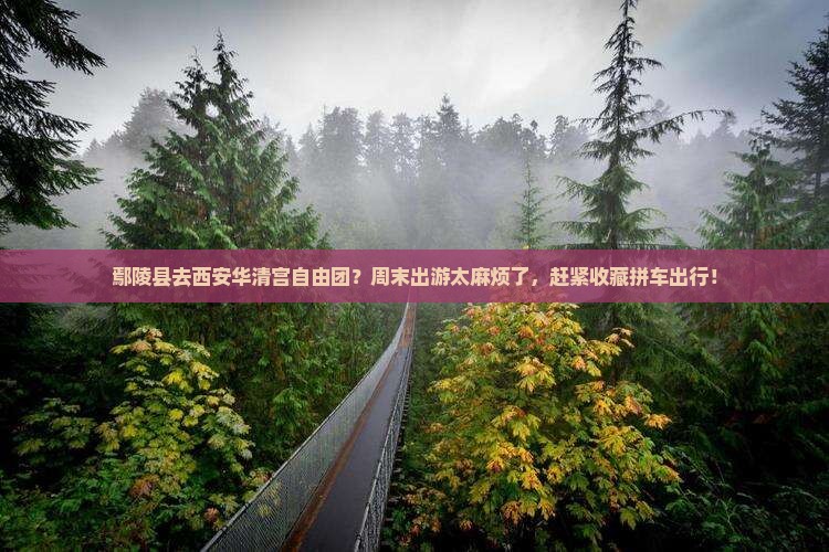 鄢陵县去西安华清宫自由团？周末出游太麻烦了，赶紧收藏拼车出行！
