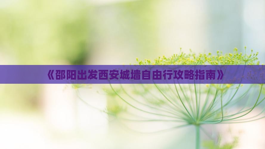 《邵阳出发西安城墙自由行攻略指南》