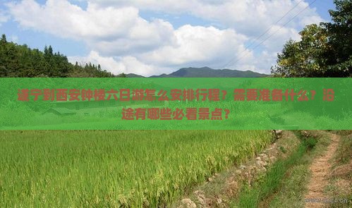 遂宁到西安钟楼六日游怎么安排行程？需要准备什么？沿途有哪些必看景点？