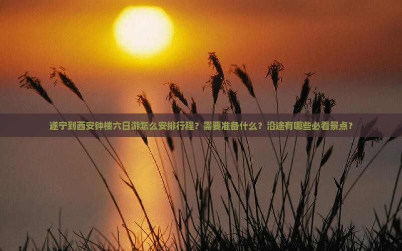 遂宁到西安钟楼六日游怎么安排行程？需要准备什么？沿途有哪些必看景点？