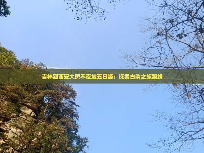吉林到西安大唐不夜城五日游：探索古韵之旅路线