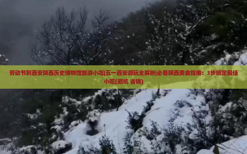 劳动节到西安陕西历史博物馆旅游小吃
