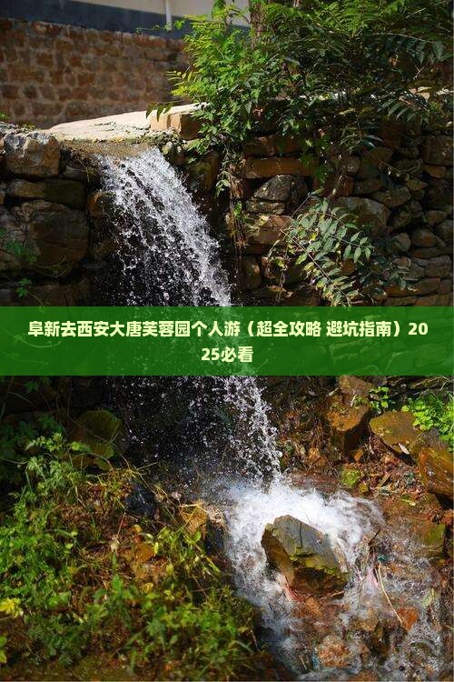 阜新去西安大唐芙蓉园个人游