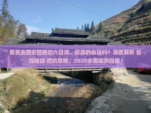 莱芜去西安回民街六日游