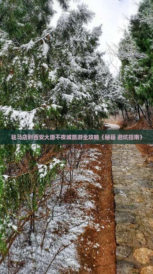 驻马店到西安大唐不夜城自由团