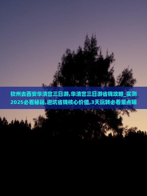 钦州去西安华清宫三日游