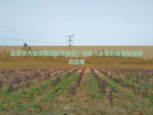 哈密去西安大唐芙蓉园团体旅游