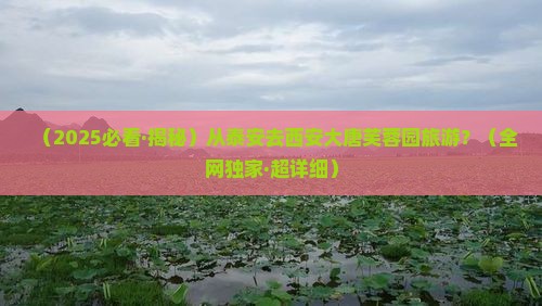 泰安到西安大唐芙蓉园旅游