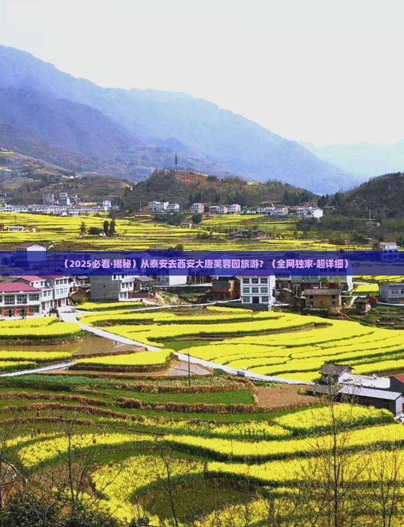泰安到西安大唐芙蓉园旅游