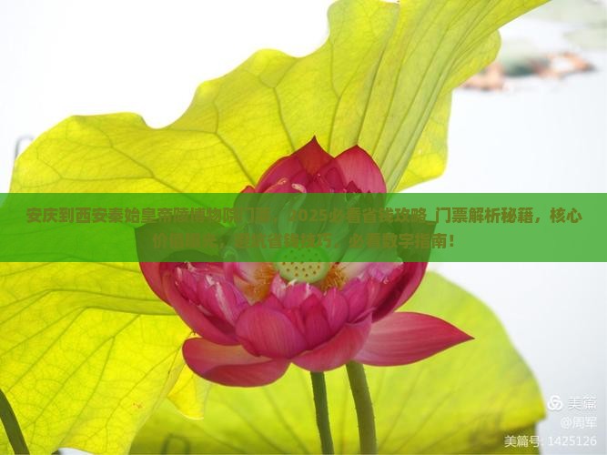 安庆到西安秦始皇帝陵博物院门票