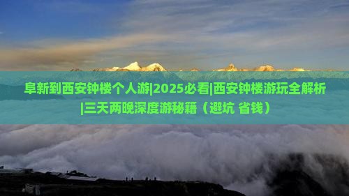 阜新到西安钟楼个人游