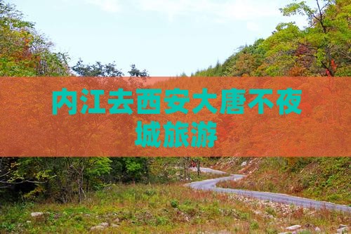 内江去西安大唐不夜城旅游