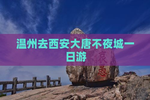 温州去西安大唐不夜城一日游
