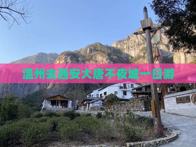 温州去西安大唐不夜城一日游