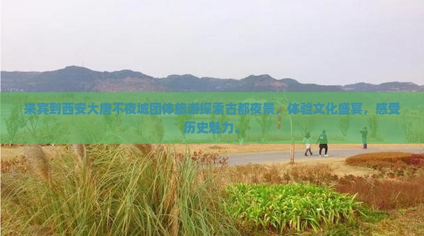 来宾到西安大唐不夜城团体旅游 来宾到西安大唐不夜城团体旅游
