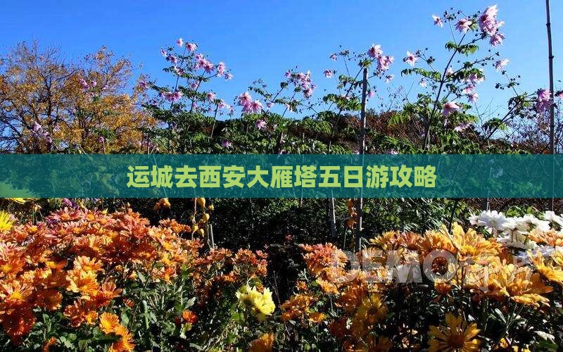 运城去西安大雁塔五日游
