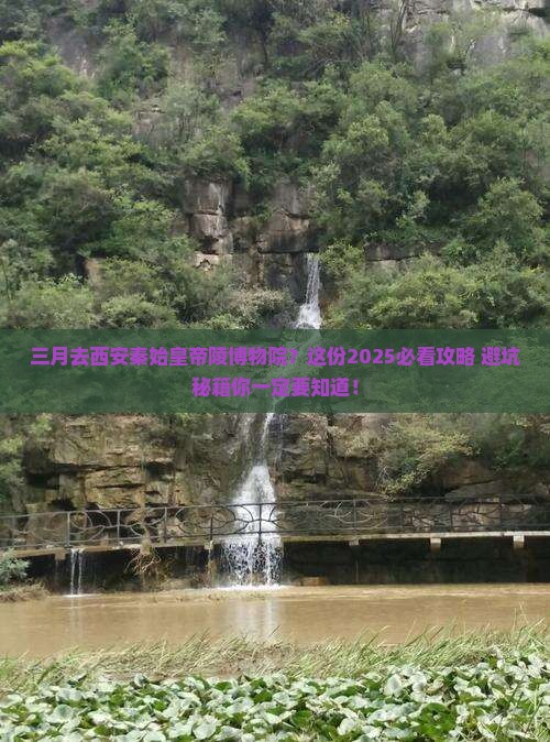 三月去西安秦始皇帝陵博物院旅行社