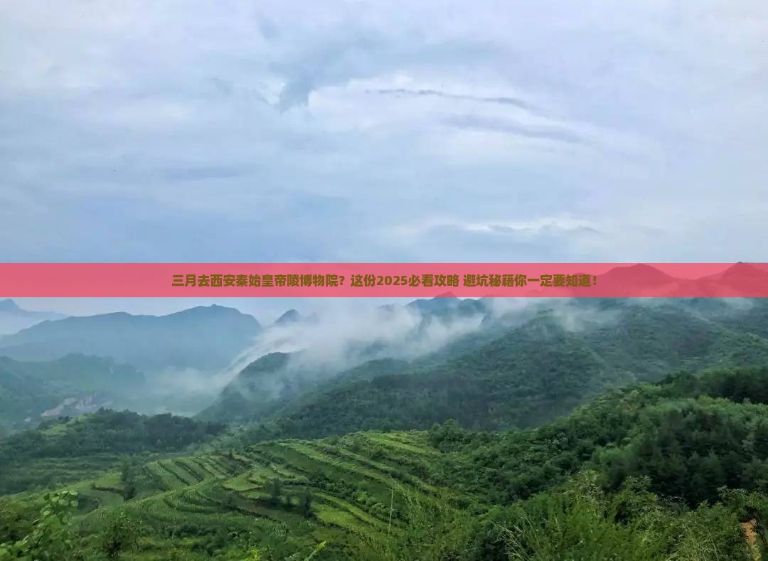 三月去西安秦始皇帝陵博物院旅行社