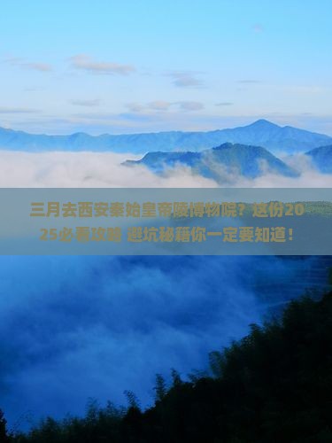 三月去西安秦始皇帝陵博物院旅行社