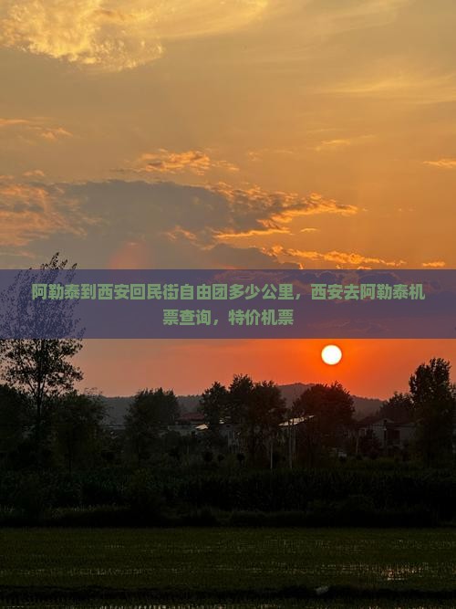 阿勒泰到西安回民街自由团