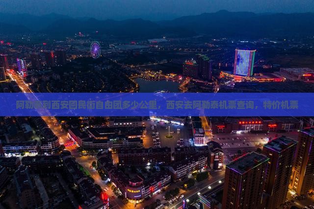 阿勒泰到西安回民街自由团