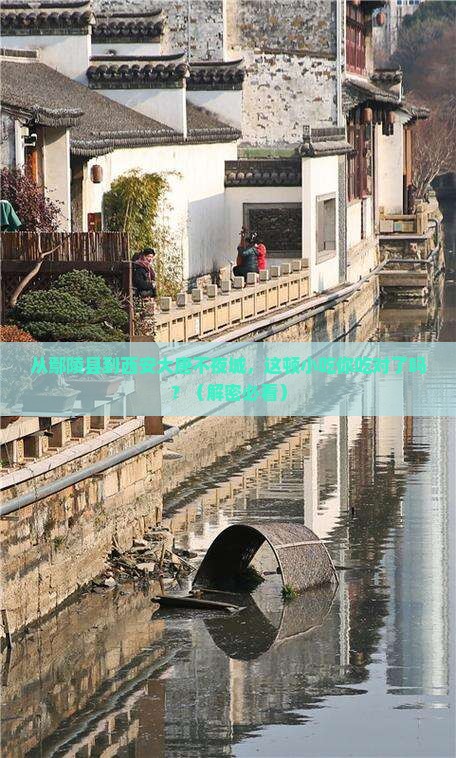 鄢陵县去西安大唐不夜城旅游小吃