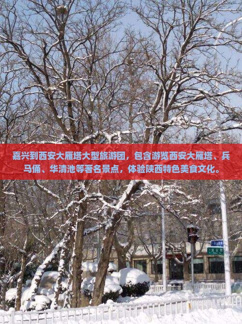 嘉兴到西安大雁塔大型旅游团